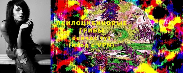 круглые Бородино