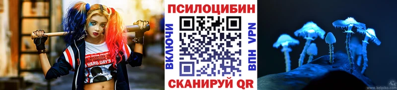 Псилоцибиновые грибы мицелий  как найти наркотики  Назрань 